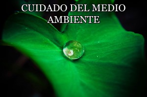 cuidado del medio ambiente